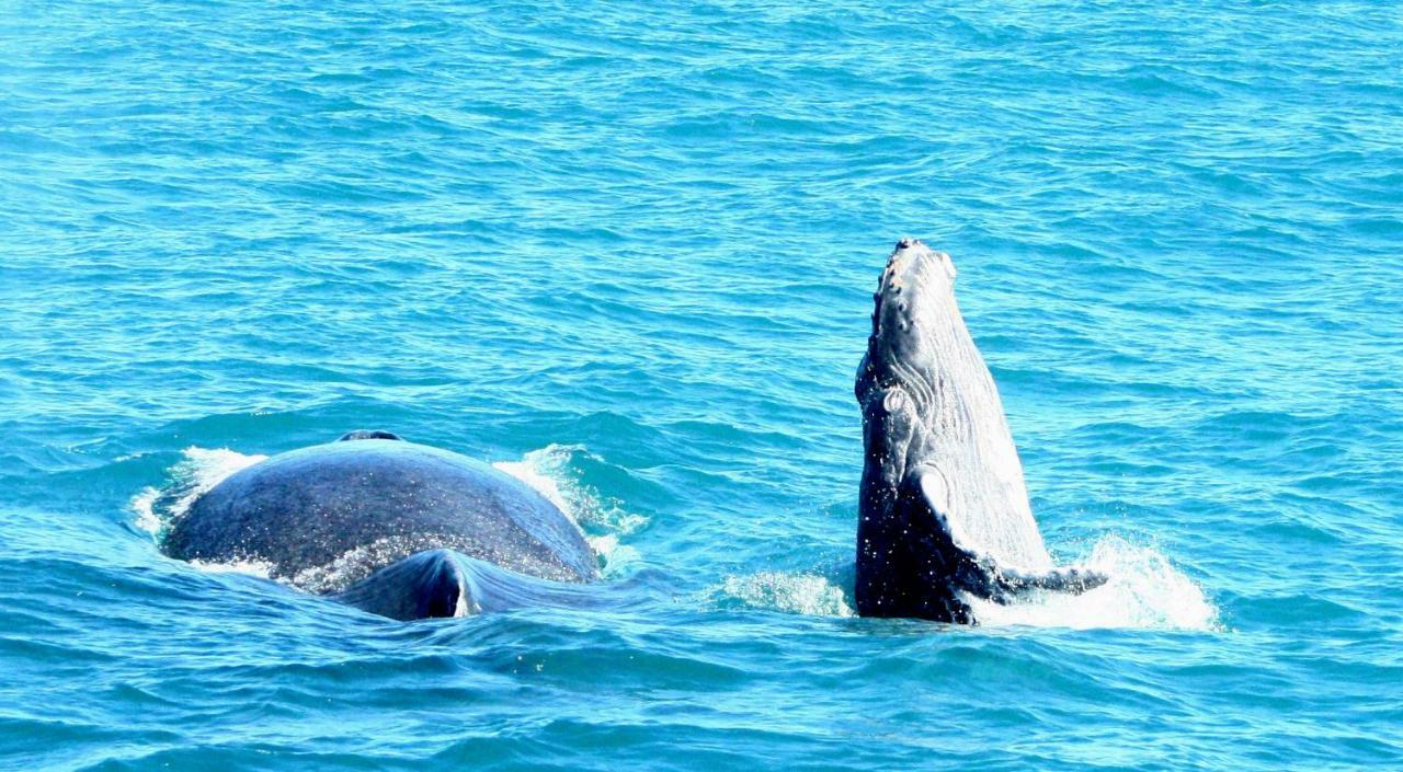 Pousada Areia Preta Cumuruxatiba Exteriör bild