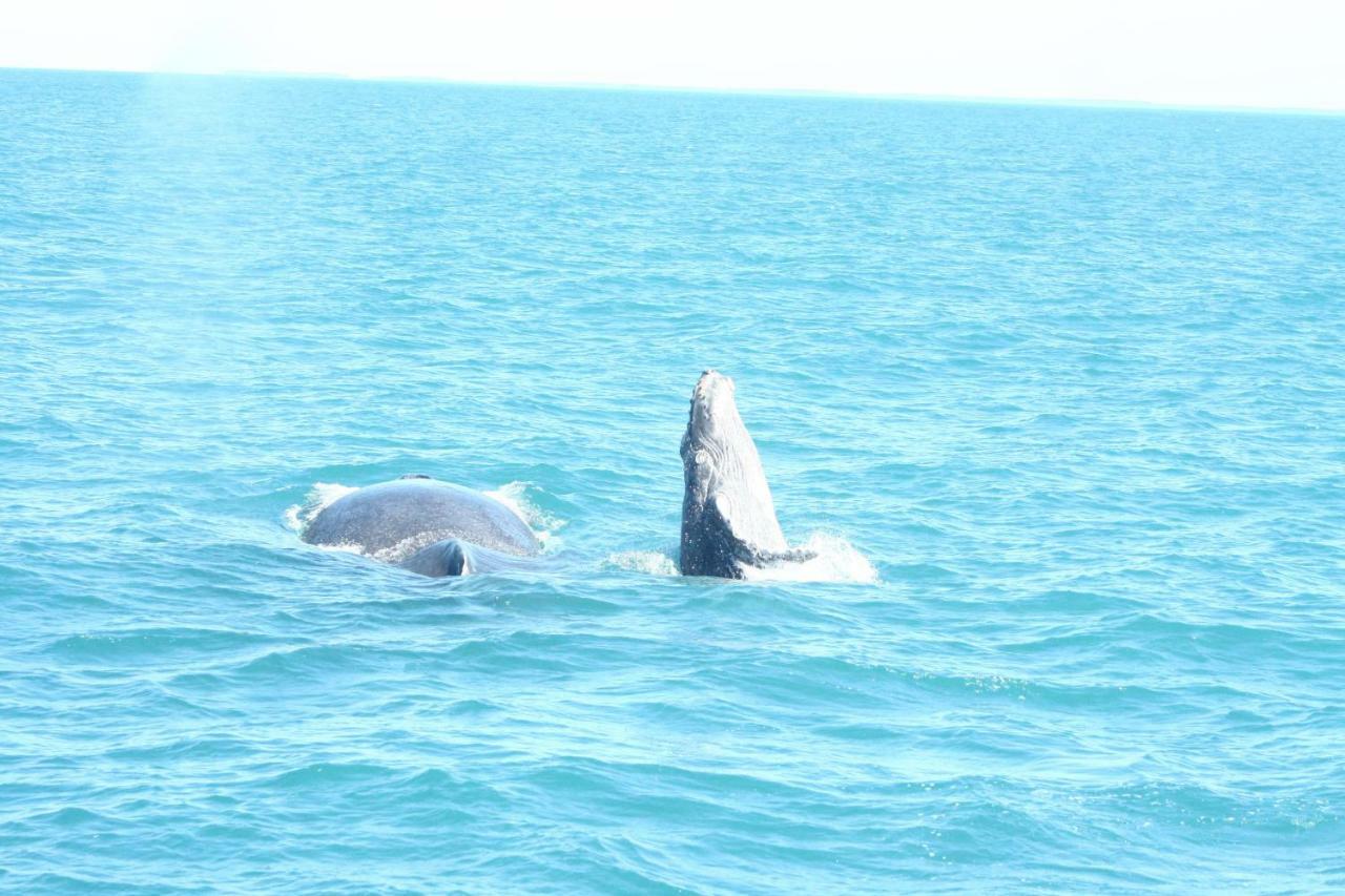 Pousada Areia Preta Cumuruxatiba Exteriör bild